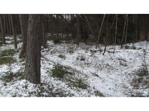 Foto 42